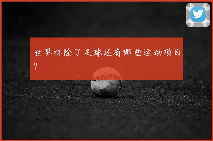 世界杯除了足球还有哪些运动项目？