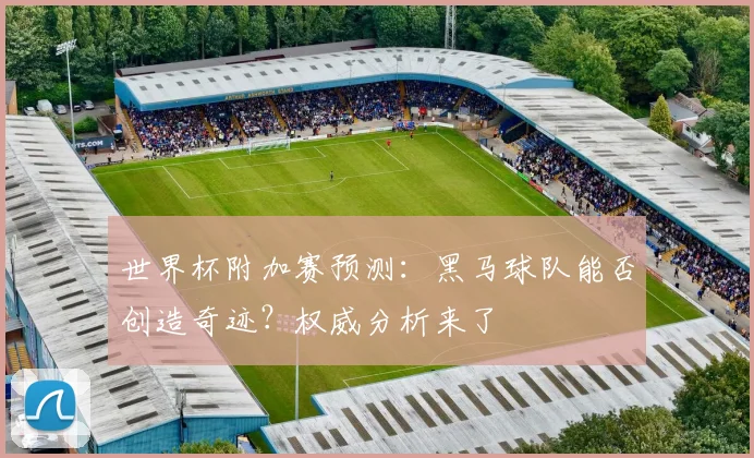 世界杯附加赛预测：黑马球队能否创造奇迹？权威分析来了