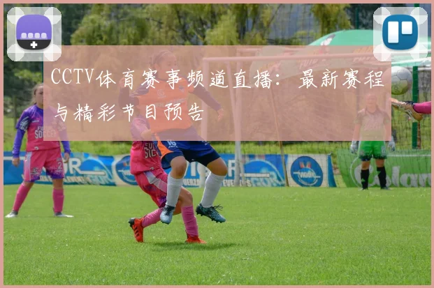 CCTV体育赛事频道直播：最新赛程与精彩节目预告