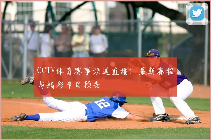 CCTV体育赛事频道直播：最新赛程与精彩节目预告