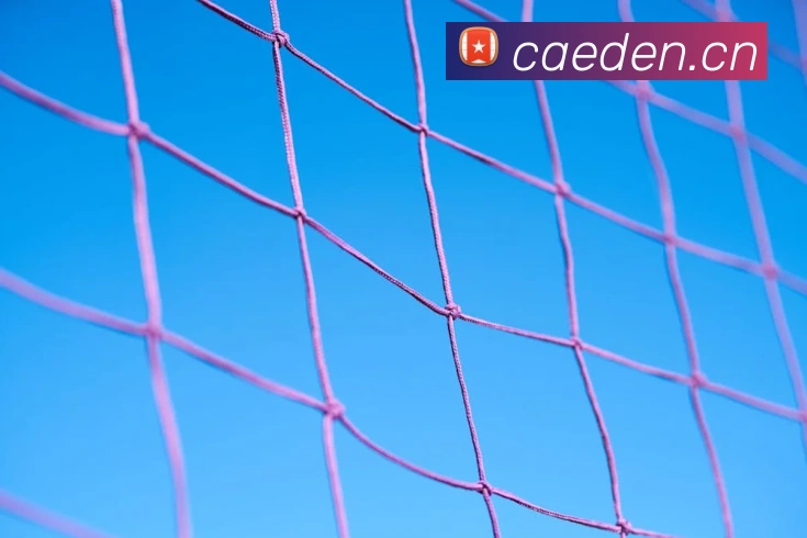 华体官网下载入口品牌故事